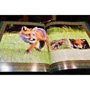 Охота — книга в коже — фотография 4